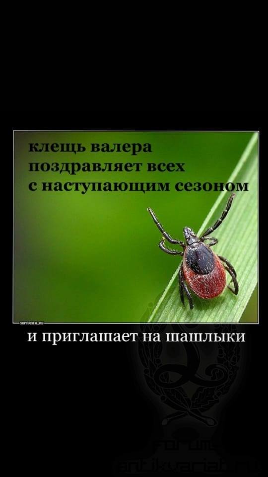 http://images.vfl.ru/ii/1524327743/e6a4cc90/21458455.jpg