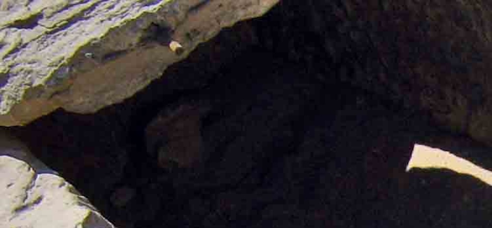 http://images.vfl.ru/ii/1508586535/c25fc457/19083976.jpg