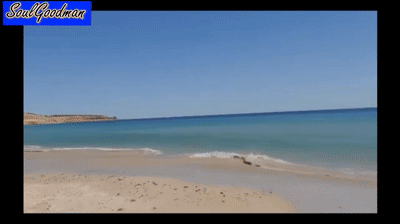 http://cdn.makeagif.com/media/3-18-2016/47UmE_.gif