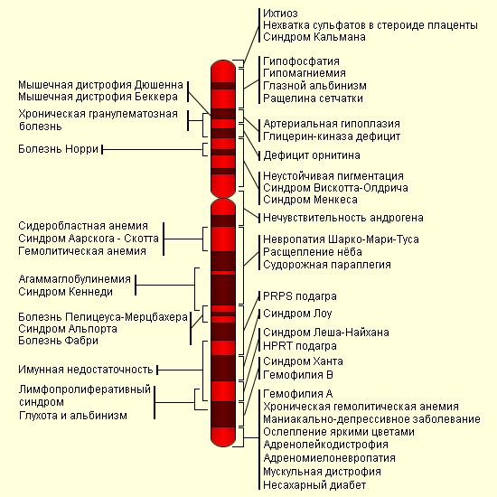 http://www.ebio.ru/images/11020204.gif