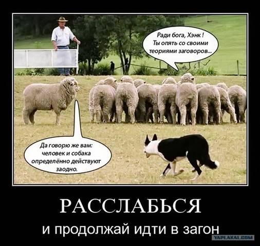 http://images.vfl.ru/ii/1503595218/2aa5454b/18360361_m.jpg