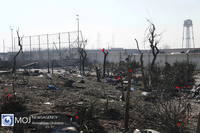http://images.vfl.ru/ii/1578814573/dff3693d/29176640_s.jpg