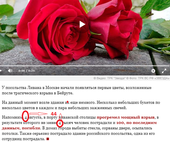 http://images.vfl.ru/ii/1596616812/452e69de/31258676_m.png