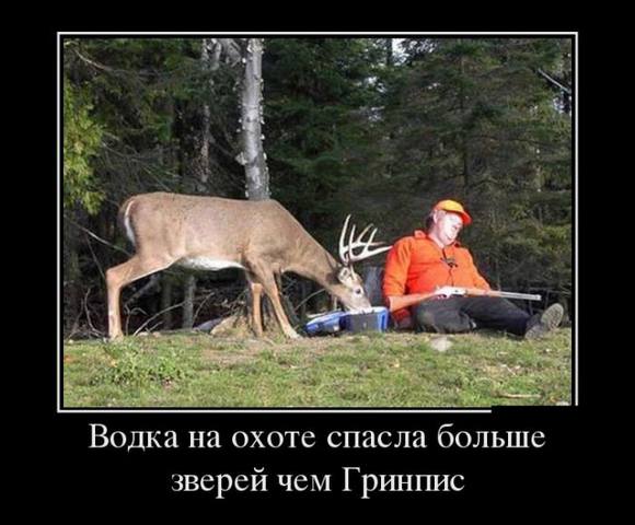 http://images.vfl.ru/ii/1496777798/bf02daa1/17487769_m.jpg