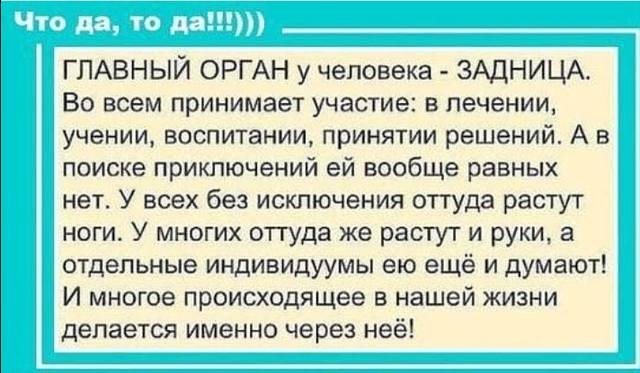 http://images.vfl.ru/ii/1536857369/8fc8c145/23322418_m.jpg