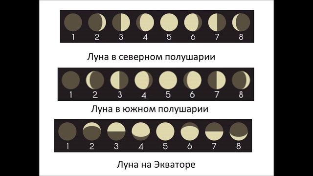 https://i.ibb.co/CMnBm3Q/1.jpg