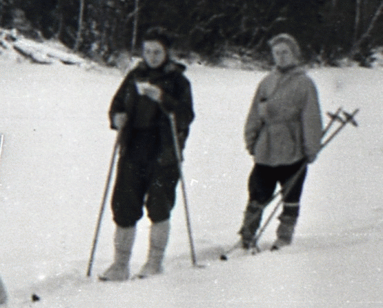 http://images.vfl.ru/ii/1555787520/2e909d9c/26261954.gif