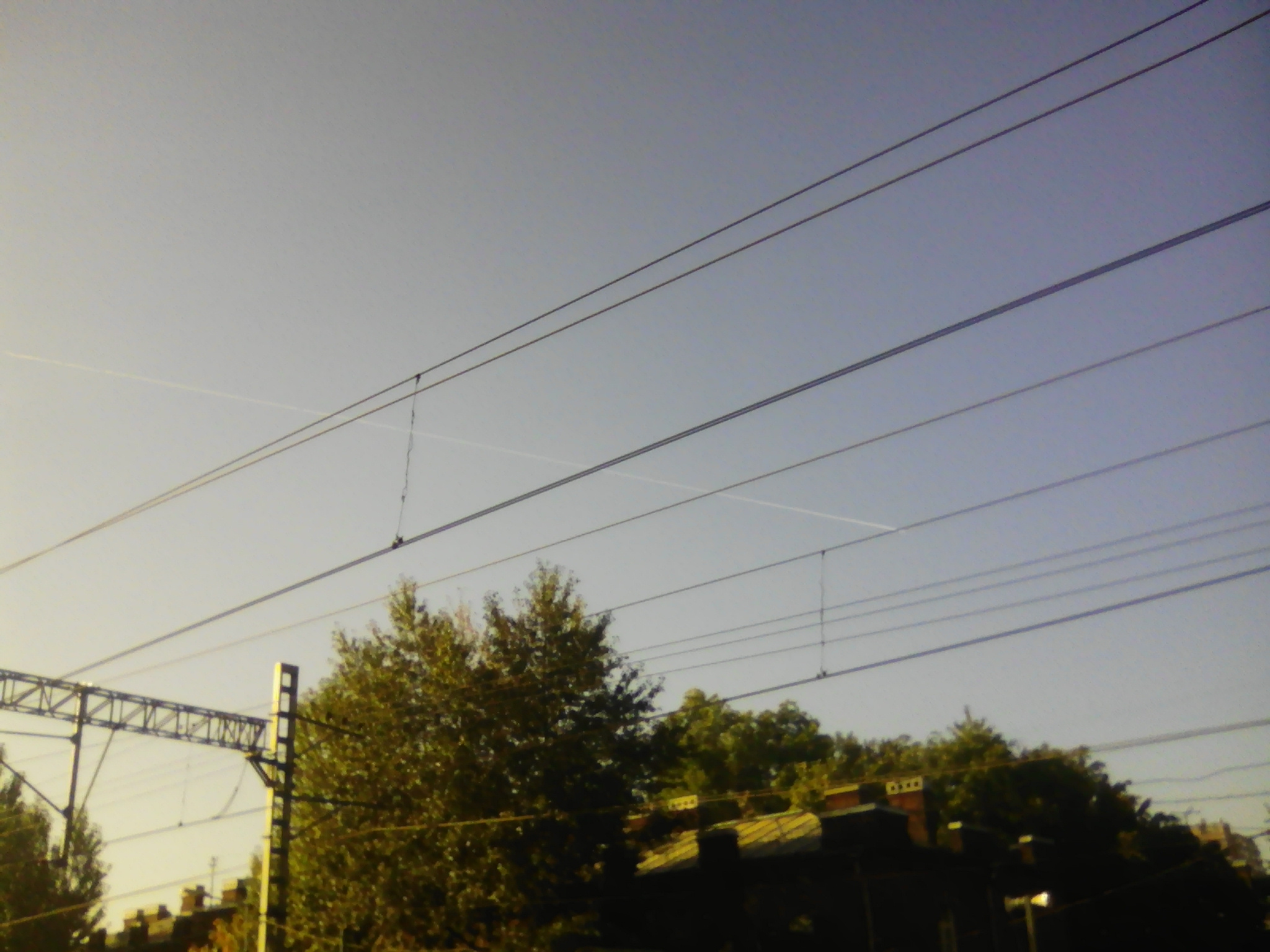 http://images.vfl.ru/ii/1506336518/1c0b6bec/18734714.jpg
