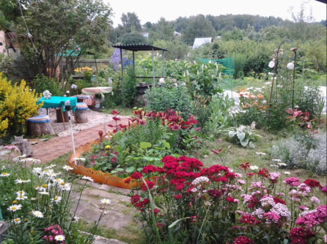 http://images.vfl.ru/ii/1547617616/2c967317/24971162_m.png