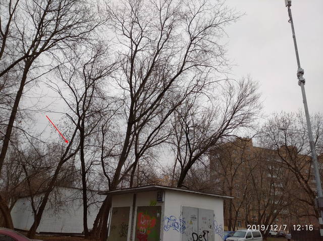 http://images.vfl.ru/ii/1575712275/417ac1e3/28829486_m.jpg