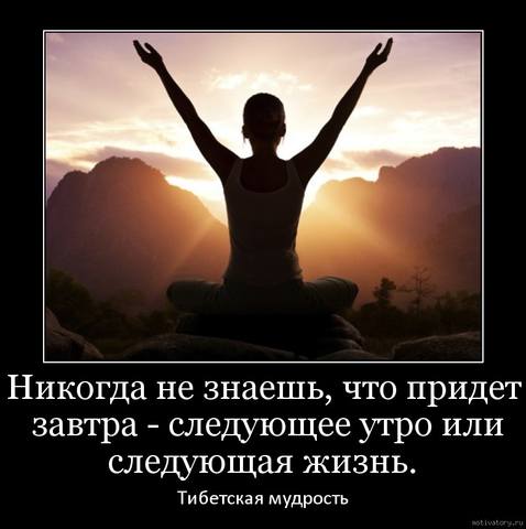http://images.vfl.ru/ii/1549634179/0dd4e82f/25309775_m.jpg