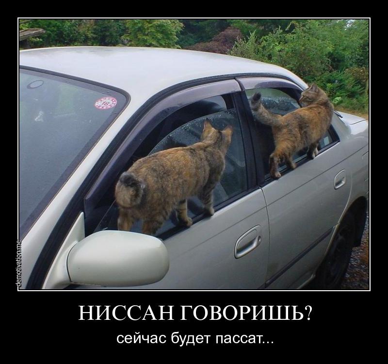 http://images.vfl.ru/ii/1513488692/1253200c/19823980.jpg