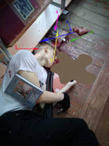 http://images.vfl.ru/ii/1544294813/e0650457/24525516_m.jpg