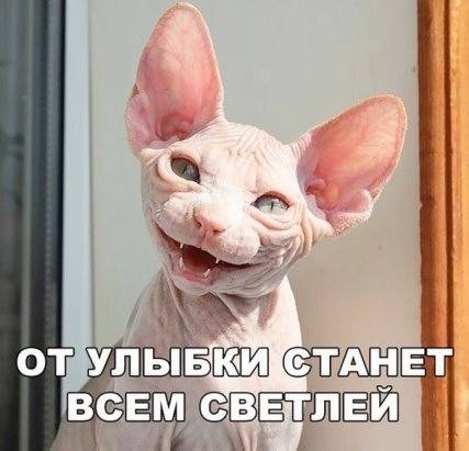 http://images.vfl.ru/ii/1509567608/24b45e33/19241048_m.jpg