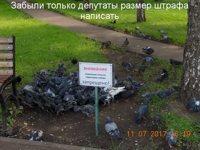 http://images.vfl.ru/ii/1499798274/bb24388f/17891152.jpg
