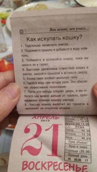 http://images.vfl.ru/ii/1539199315/59f95235/23737785.jpg