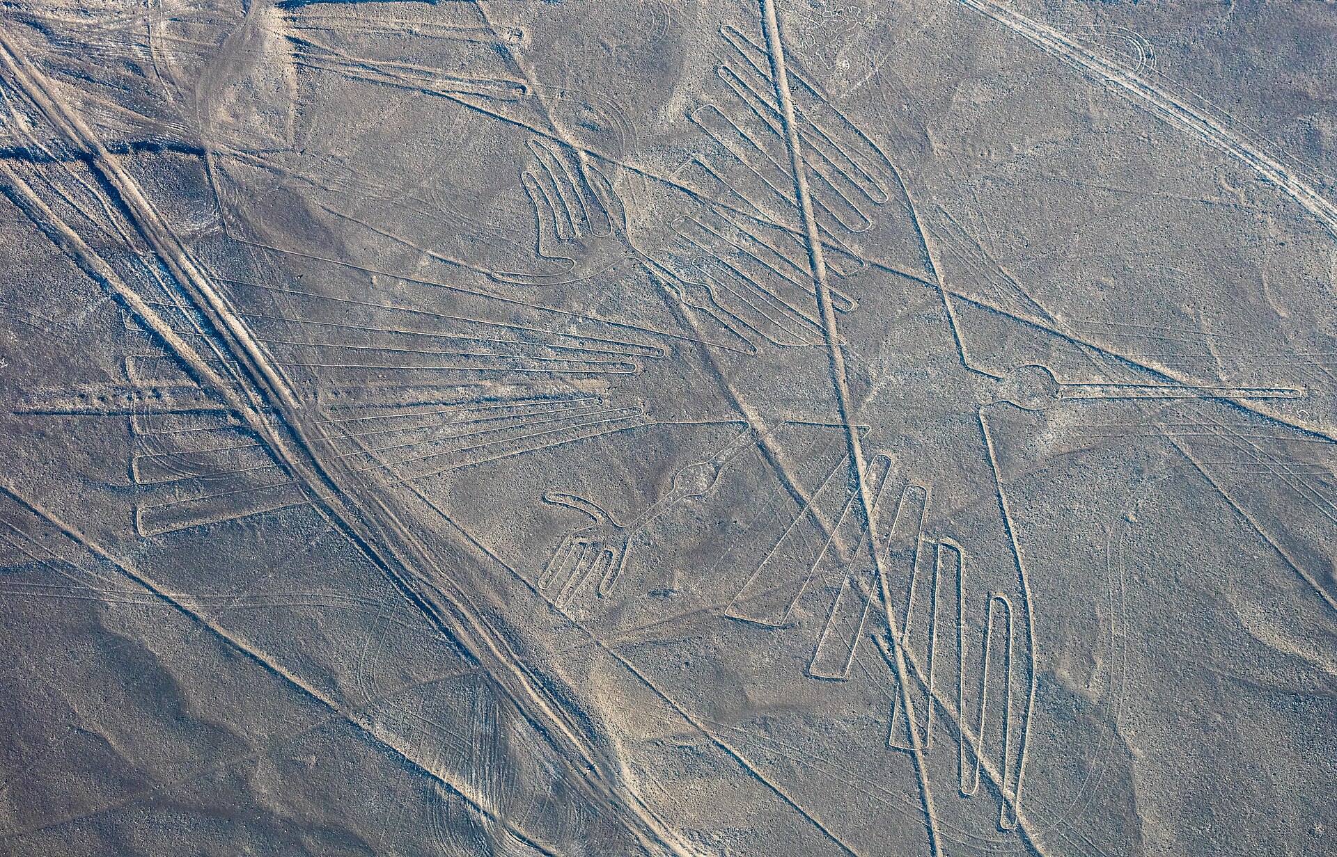 https://upload.wikimedia.org/wikipedia/commons/thumb/4/48/L%C3%ADneas_de_Nazca%2C_Nazca%2C_Per%C3%BA%2C_2015-07-29%2C_DD_55.JPG/1920px-L%C3%ADneas_de_Nazca%2C_Nazca%2C_Per%C3%BA%2C_2015-07-29%2C_DD_55.JPG