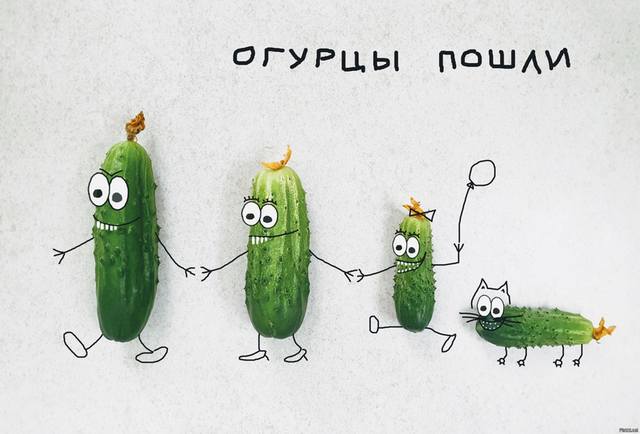 http://images.vfl.ru/ii/1625181331/affe1cfb/35020693_m.jpg