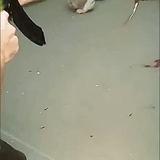 https://i.imgur.com/qZevXaZb.jpeg