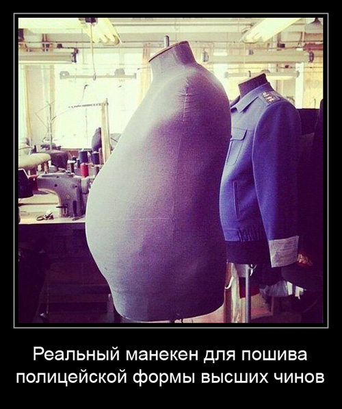 http://images.vfl.ru/ii/1507719466/a2349546/18950276.jpg