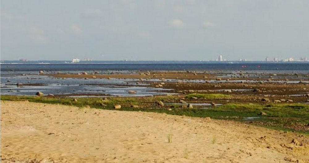 http://images.vfl.ru/ii/1502389212/4fba90d4/18206514.jpg