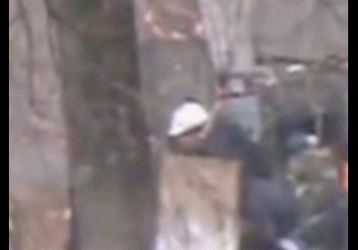 http://images.vfl.ru/ii/1417915376/43cd80c1/7156295.gif