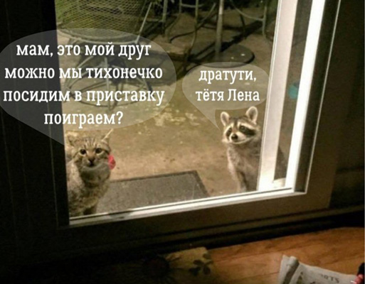 http://images.vfl.ru/ii/1535872383/c2aef95a/23153991.jpg