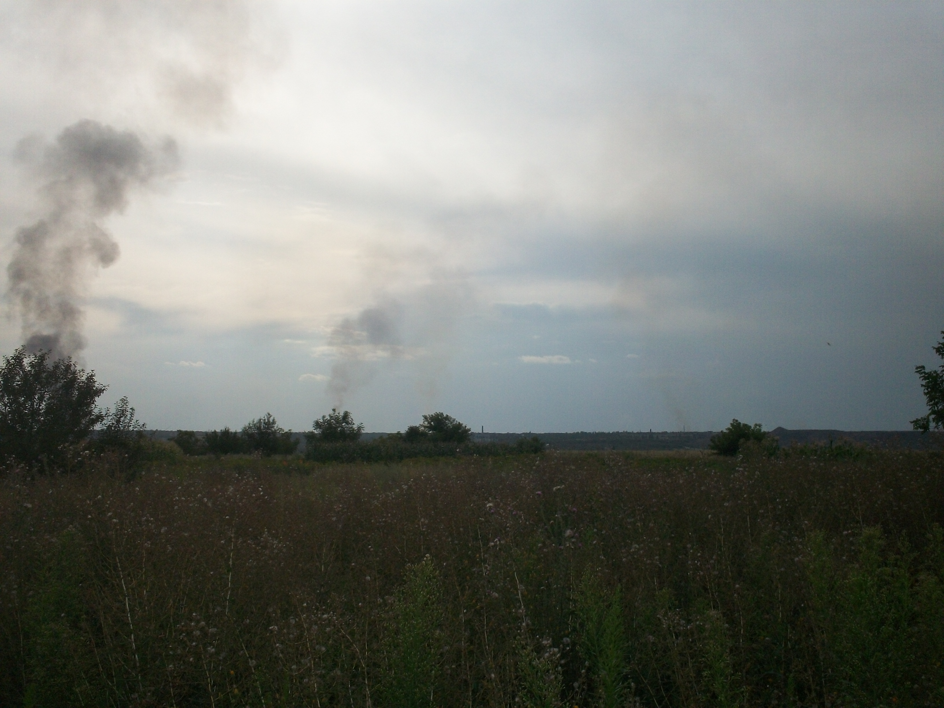 http://images.vfl.ru/ii/1406054115/cb38e898/5778123.jpg