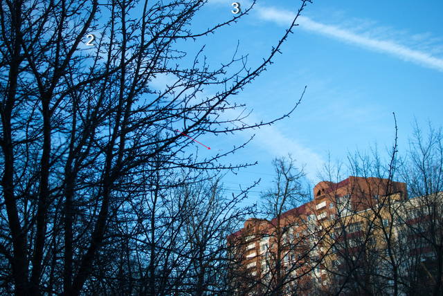 http://images.vfl.ru/ii/1521564412/ab3e578d/21041536_m.jpg