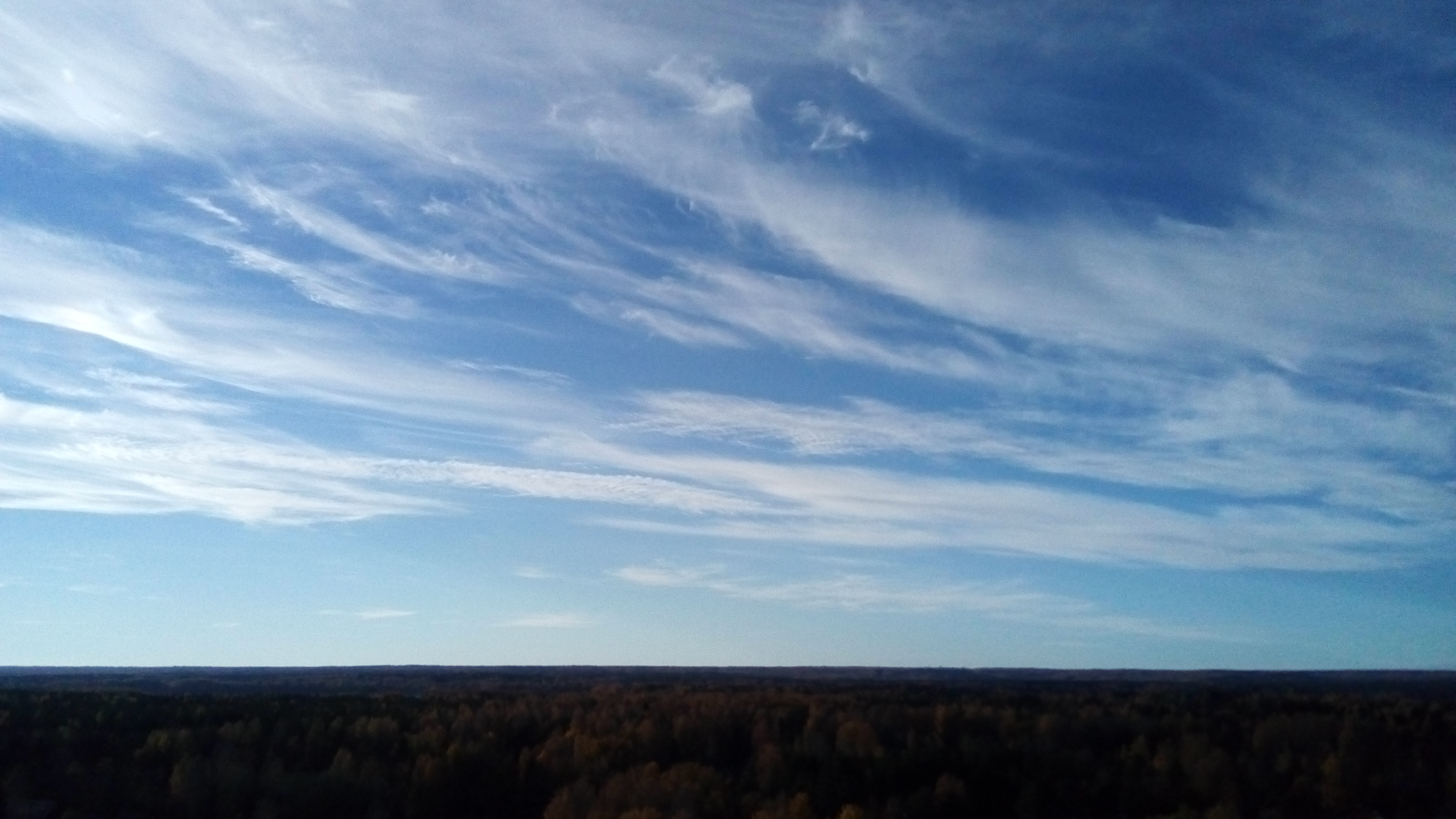 http://images.vfl.ru/ii/1539270669/d1cba3ce/23749337.jpg