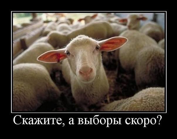 http://images.vfl.ru/ii/1517118149/5f185788/20337482_m.jpg