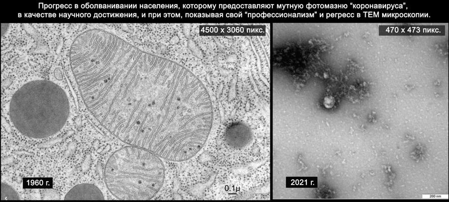 http://images.vfl.ru/ii/1611903616/b0841115/33138435_m.jpg