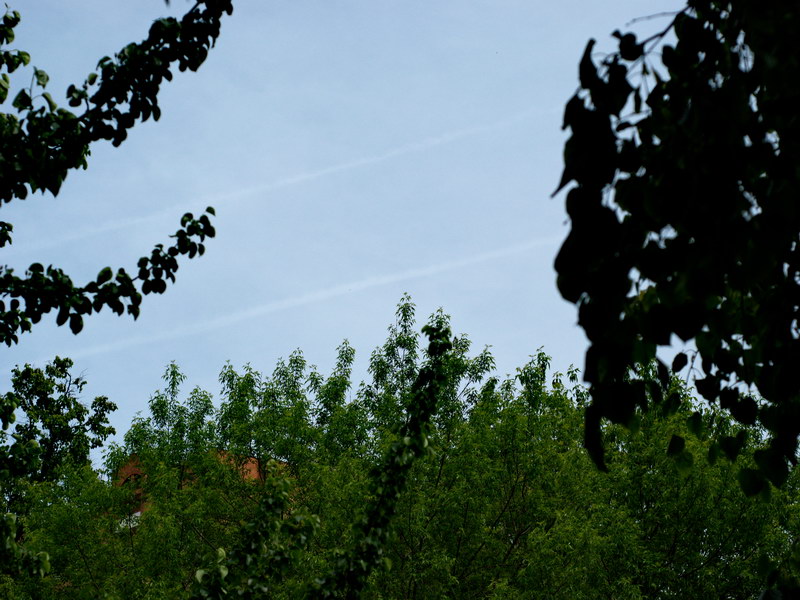 http://images.vfl.ru/ii/1497121269/5e1de71f/17528989.jpg