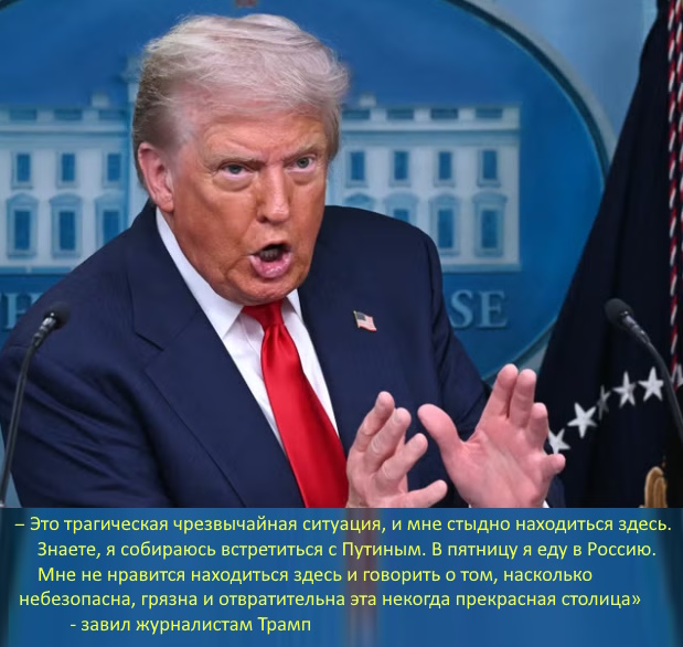 https://i7.imageban.ru/out/2025/08/14/9f9b3bb9eacb407a46d6c782427cc388.jpg
