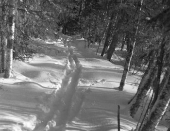 https://dyatlovpass.com/resources/340/thumbs/Krivonischenko-camera-film1-23.jpg