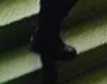http://images.vfl.ru/ii/1543237651/5272971b/24359219_m.jpg