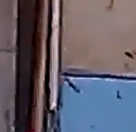 http://s6.uploads.ru/t/nDN1o.png