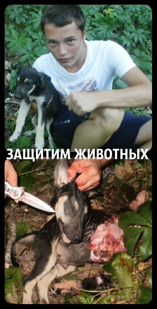http://images.vfl.ru/ii/1405570497/cce19738/5729533.jpg