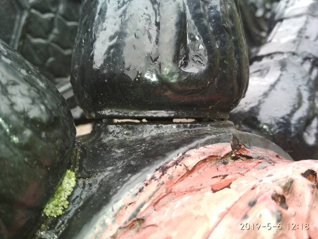 http://images.vfl.ru/ii/1561235527/32ae8366/26973560_m.jpg
