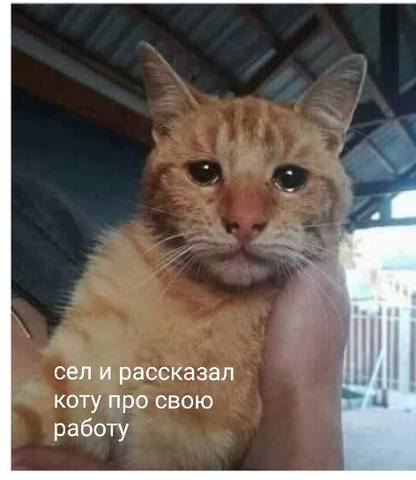 http://images.vfl.ru/ii/1549705500/f0f5a97e/25319015_m.jpg