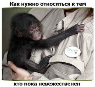 https://forumstatic.ru/files/0017/52/02/40951.png