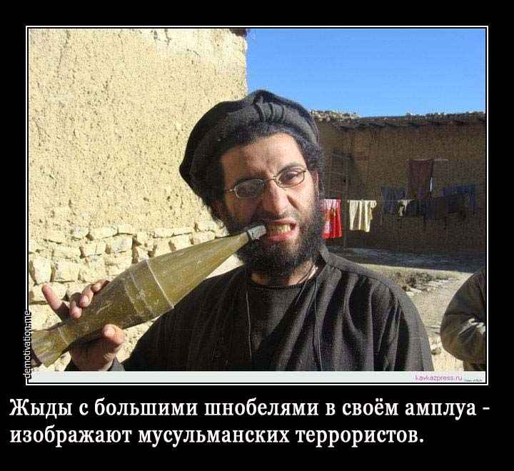 http://s7.uploads.ru/hjTsO.jpg