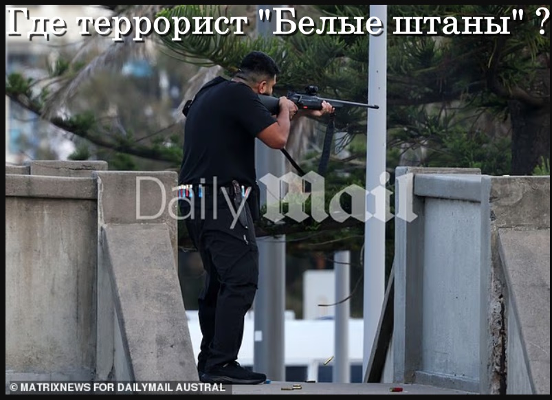 https://i1.imageban.ru/out/2025/12/14/eea8e859c3e9ecb45fca14b5143b6bda.jpg