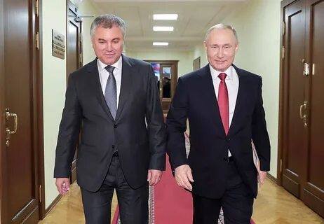 http://images.vfl.ru/ii/1584018366/ed84af04/29851746_m.jpg