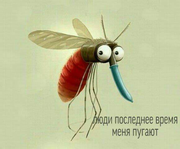 http://images.vfl.ru/ii/1641548620/07d741d5/37428414_m.jpg