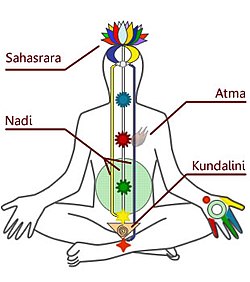 https://i.postimg.cc/RCQcS8nJ/250px-Diagramma-Chakra-Kundalini.jpg