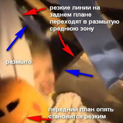 http://images.vfl.ru/ii/1546691512/42ae295a/24827739_m.jpg