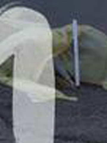 http://images.vfl.ru/ii/1541403574/f7489c57/24068564.jpg