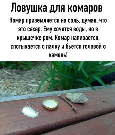 https://a.radikal.host/2022/09/14/FcotJNIXwAIrIGyformatjpgnamesmall.jpg