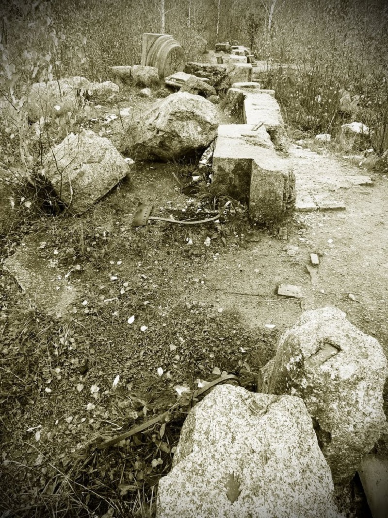 http://images.vfl.ru/ii/1497473356/666a978b/17575489.jpg